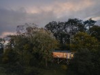 In the trees In the trees